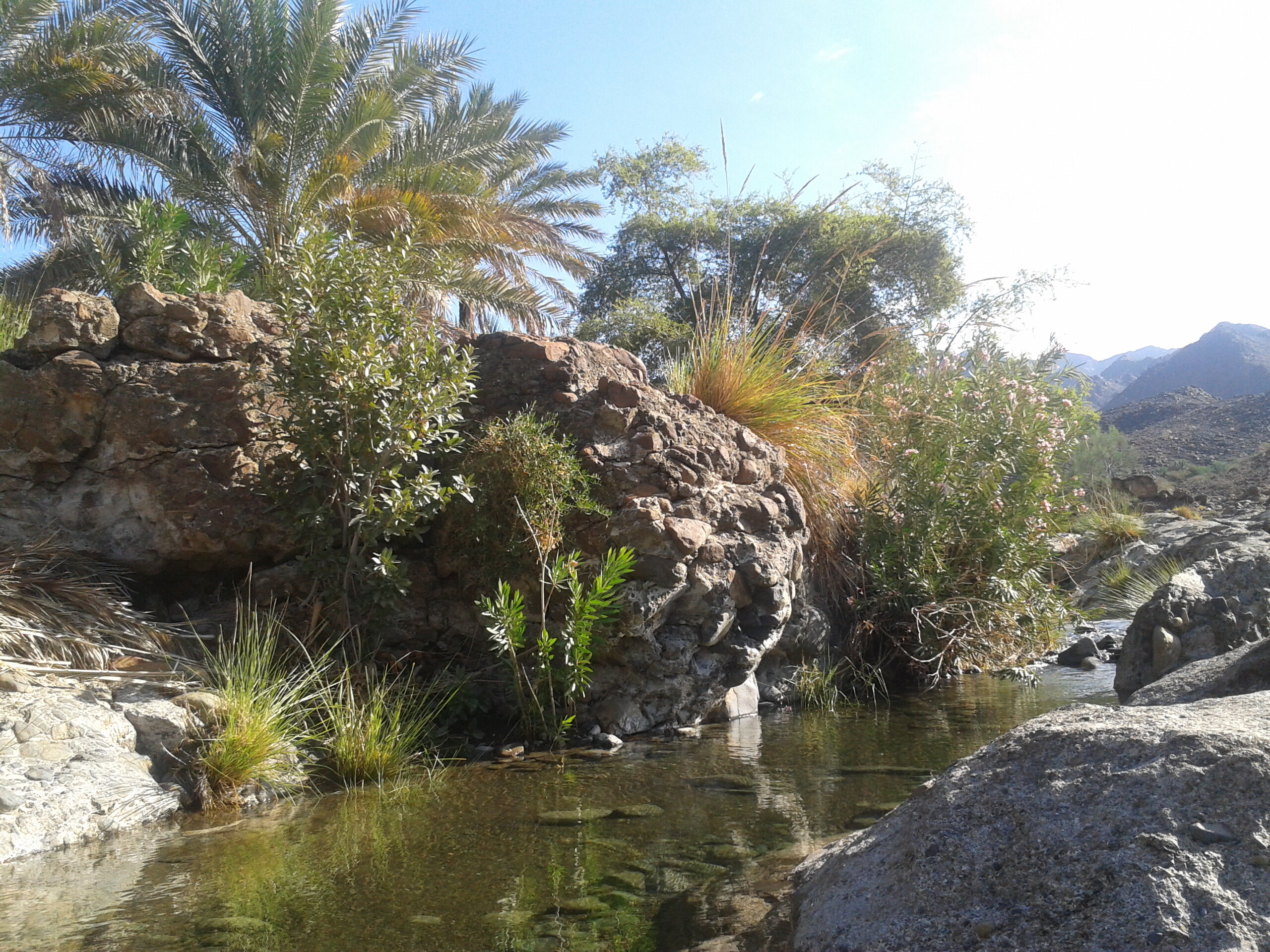 وادي مقر